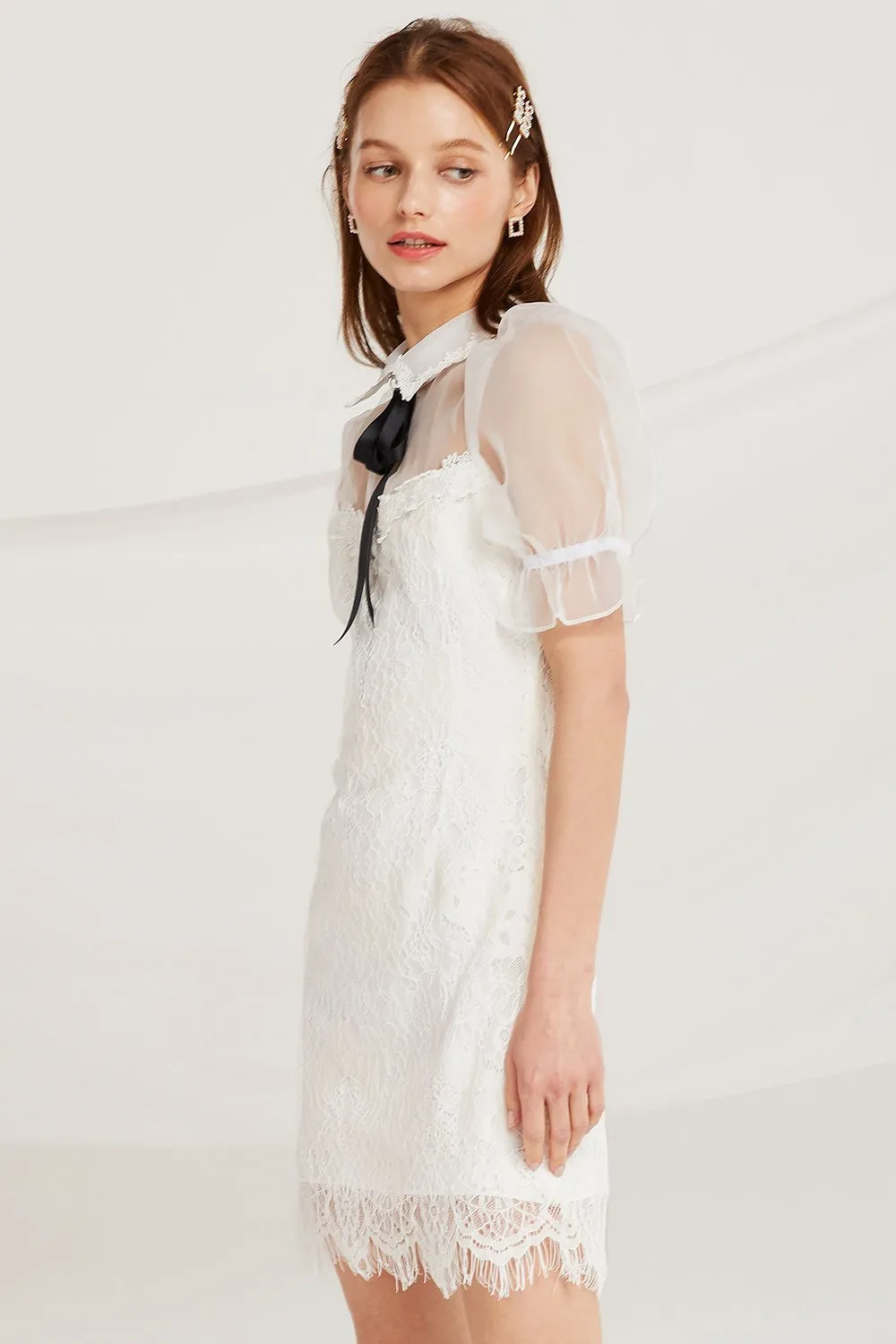 Daisy Lace Dress w/ Organza Top