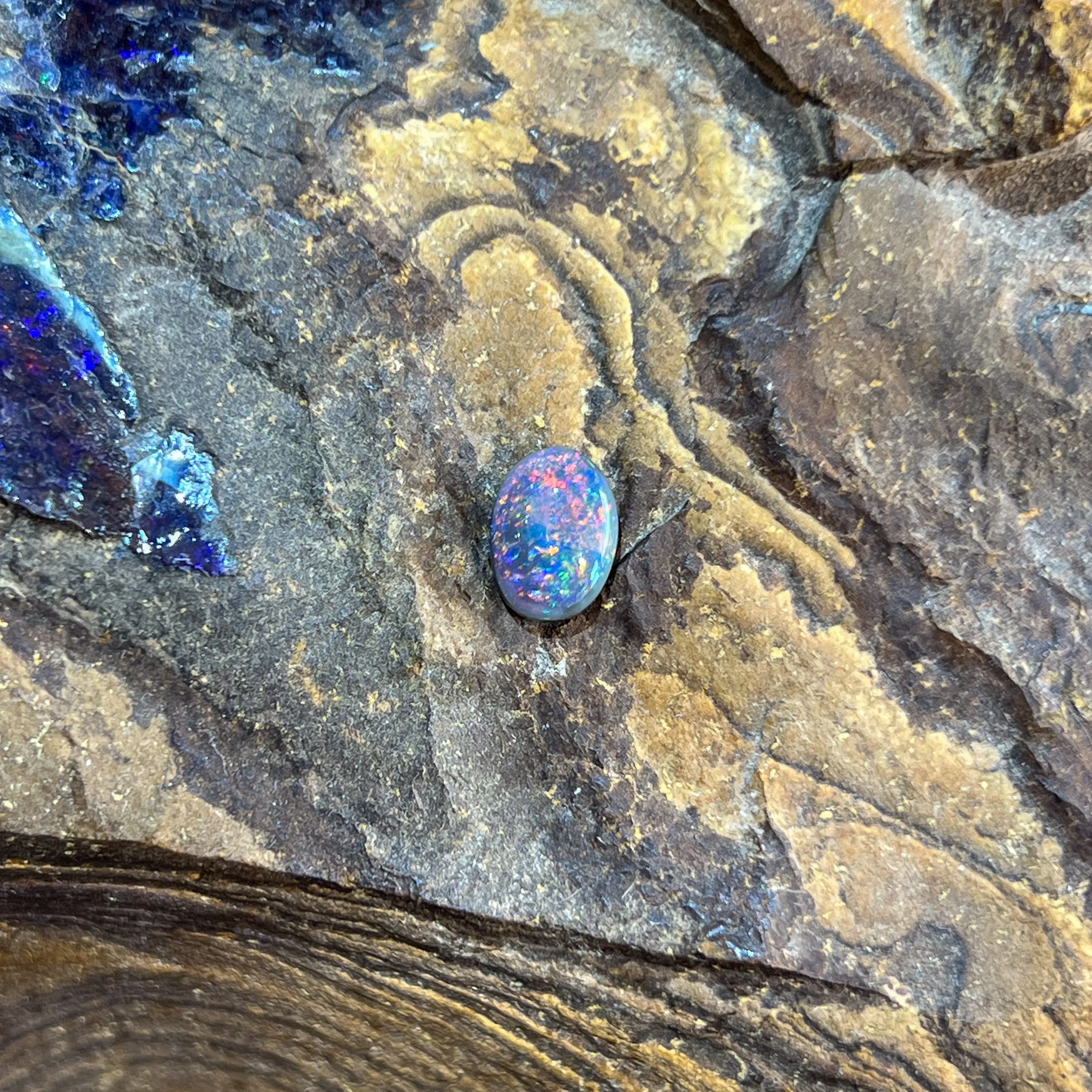 Loose Black Opal 1.13ct