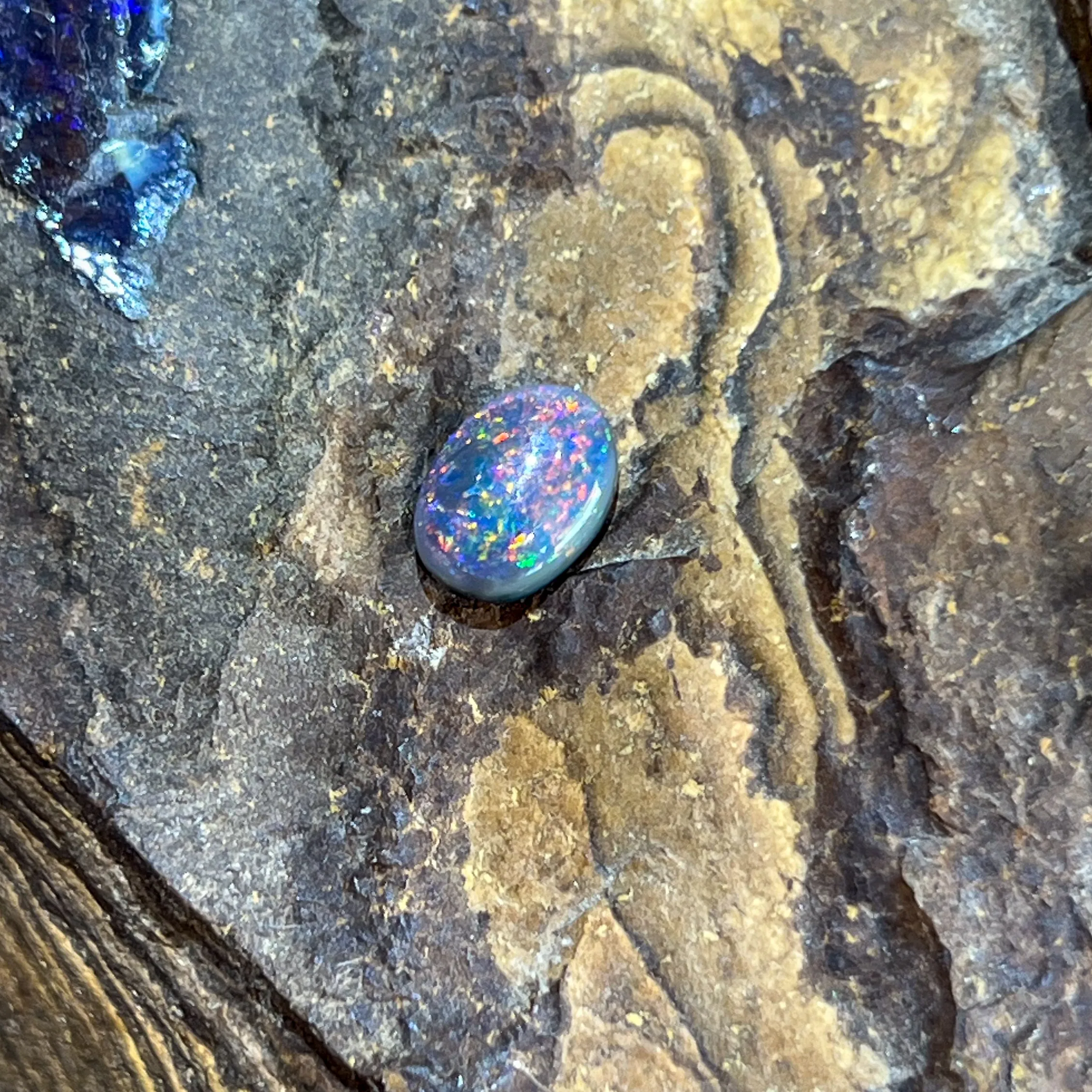 Loose Black Opal 1.13ct