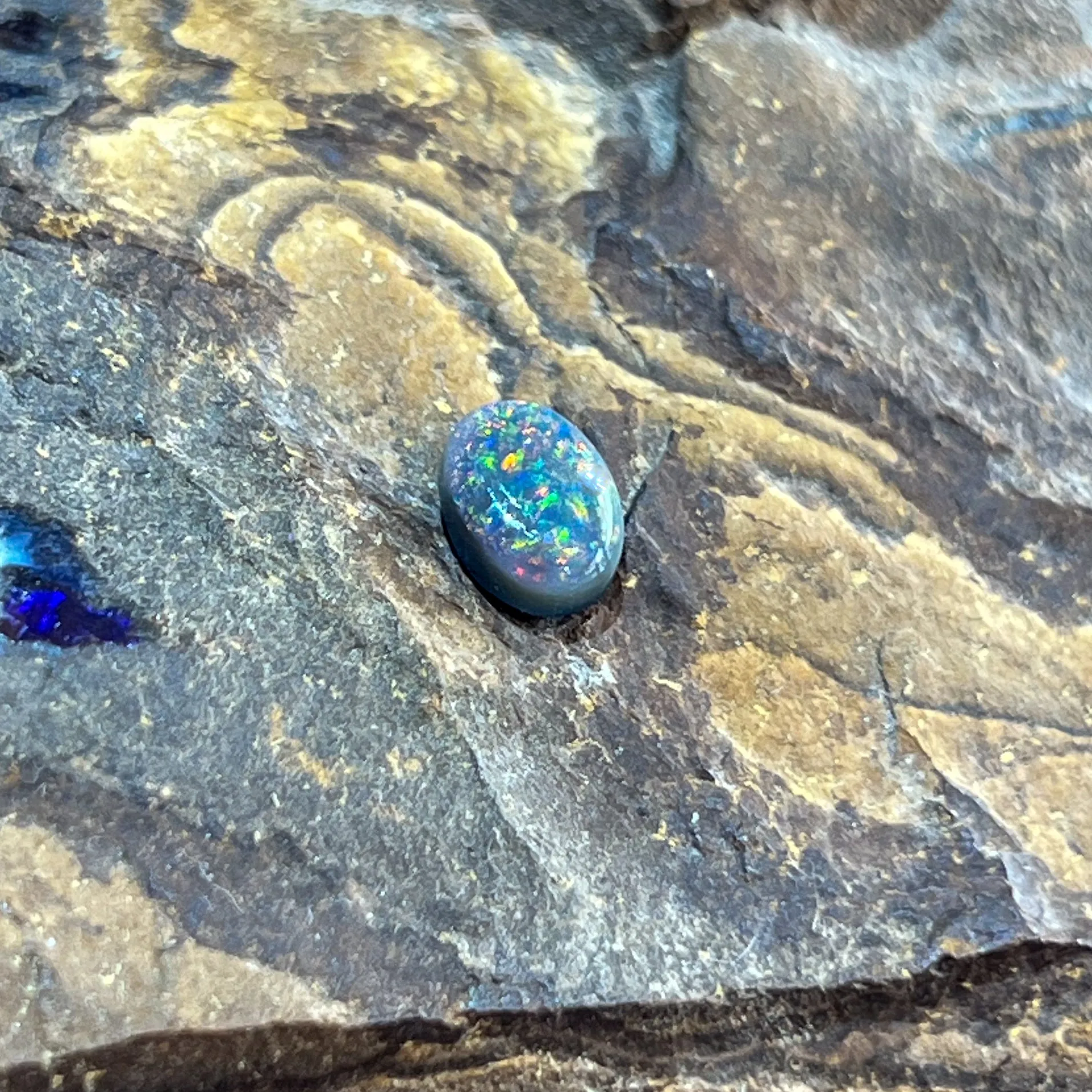 Loose Black Opal 1.13ct