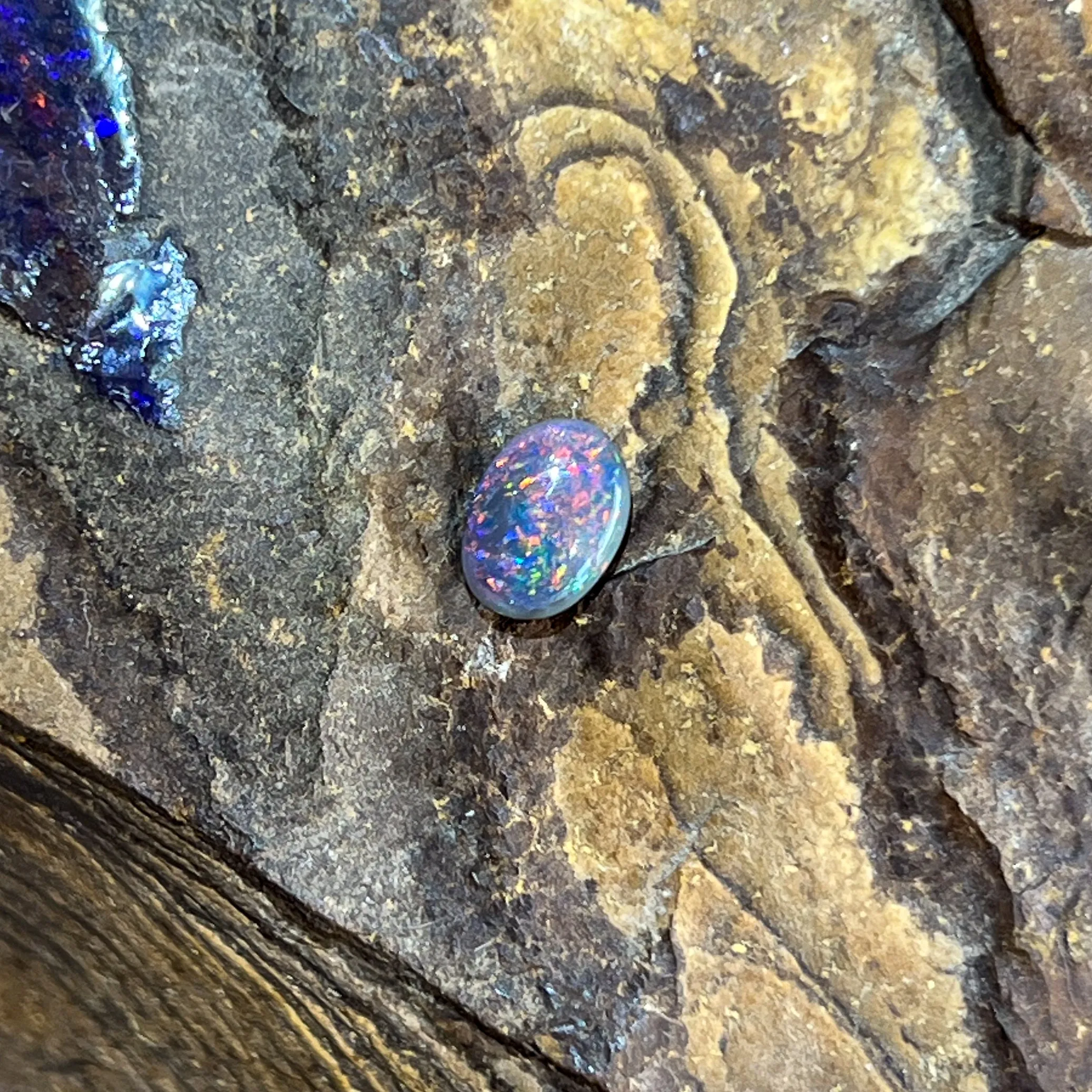 Loose Black Opal 1.13ct