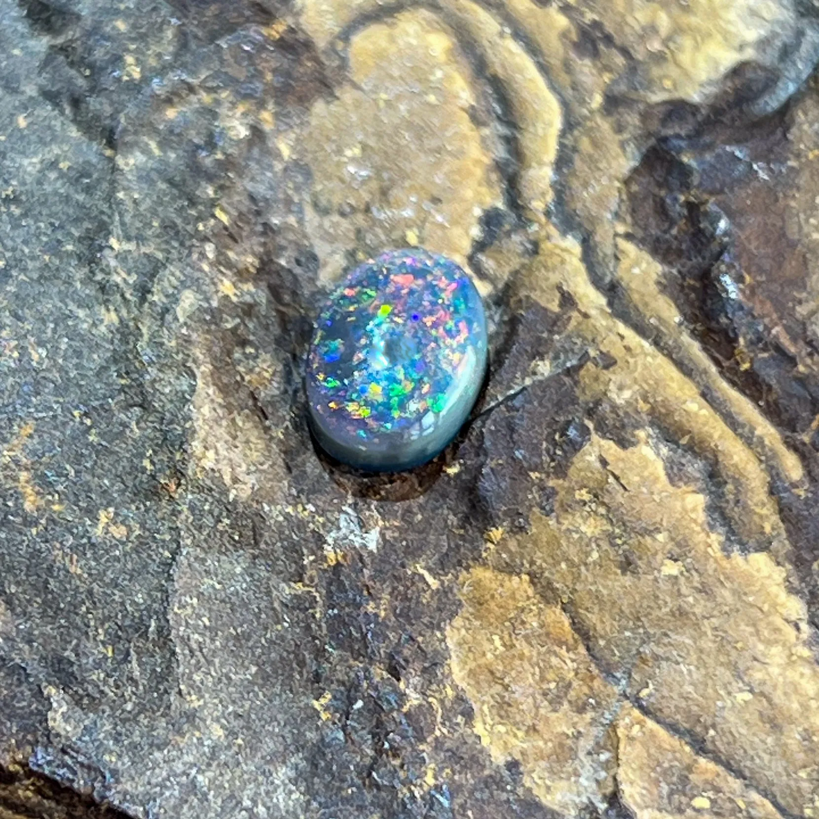 Loose Black Opal 1.13ct