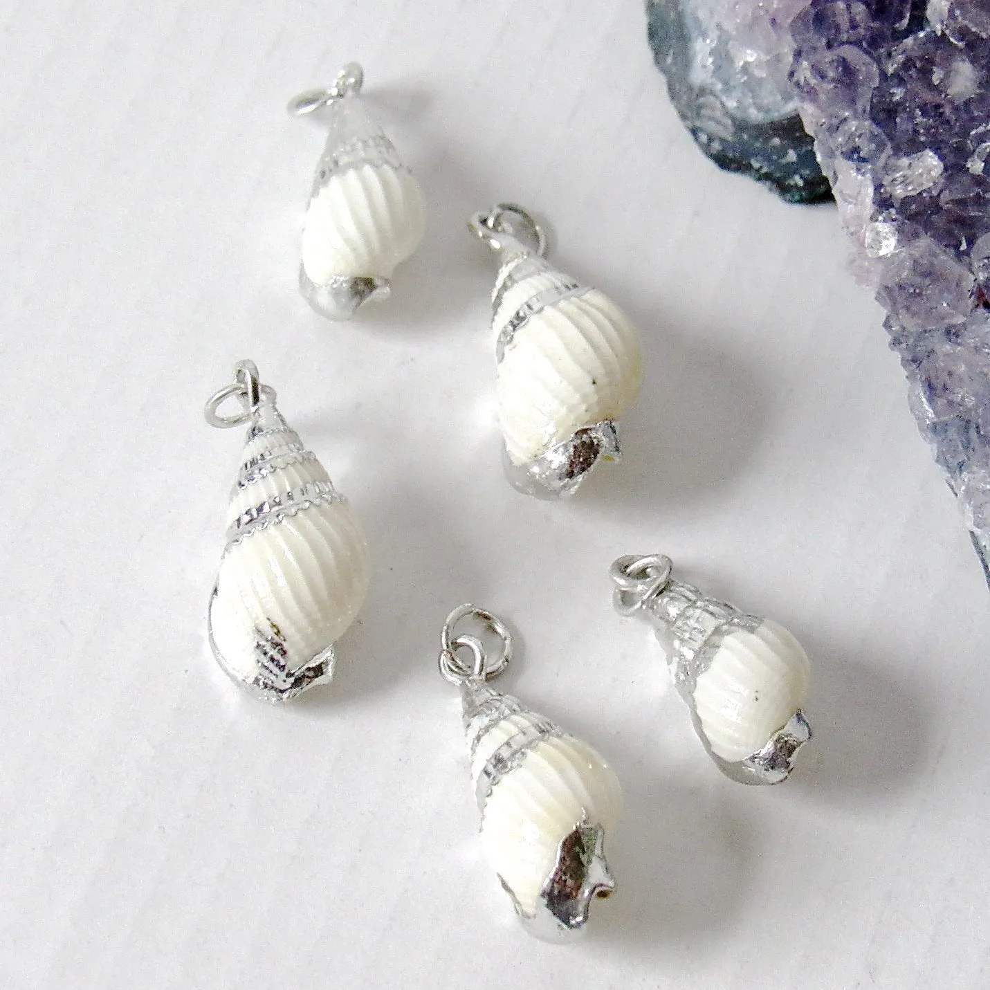 Tiny Conch Shell Necklaces