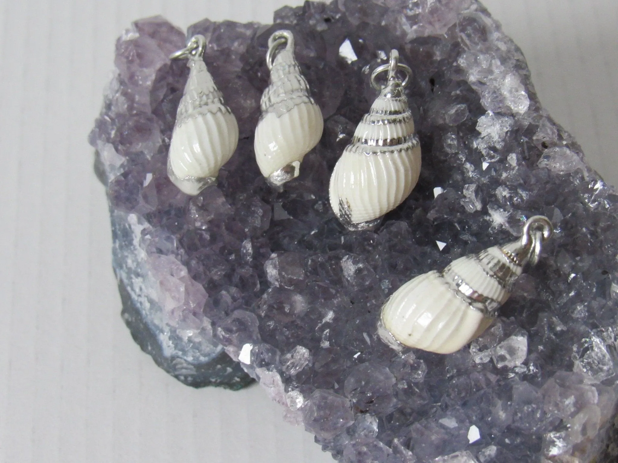 Tiny Conch Shell Necklaces